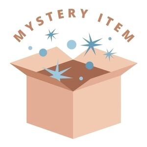 Mystery Item Add On!
